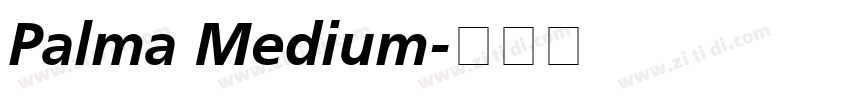 Palma Medium字体转换